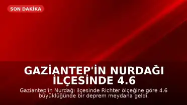 Gaziantep'in Nurdağı ilçesinde 4.6 büyüklüğünde deprem kaydedildi