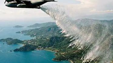 İzlanda'da Erozyonla Mücadelede Kullanılan Bitki Yeni Ekolojik Krize Yol Açtı
