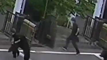 Japonya'da Ayı Saldırıları: 4 Yaralı, Eğitime Ara Verildi