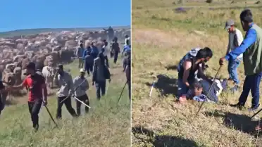 Muş'ta İki Köy Arasında Mera Tartışması Silahlı Çatışmaya Dönüştü: 1'i Ağır 2 Yaralı