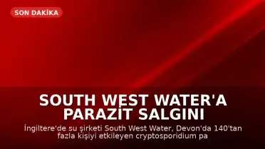 South West Water'a Parazit Salgını Nedeniyle 1.8 Milyon Sterlin Ceza