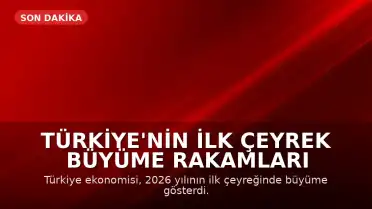 Türkiye'nin İlk Çeyrek Büyüme Rakamları Açıklandı: Bilgi ve İletişim Sektörü Öne Çıktı