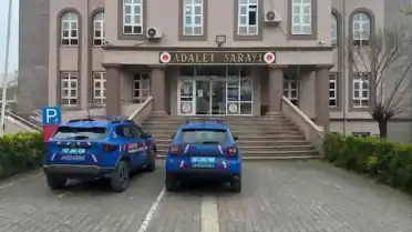 Zonguldak'ta uyuşturucu operasyonu: Evde kenevir yetiştiren 2 şüpheli yakalandı