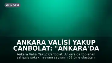 Ankara Valisi Yakup Canbolat: "Ankara'da toplanan sahipsiz sokak hayvanı sayısı 52 bine ulaştı"