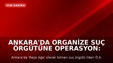 Ankara'da Organize Suç Örgütüne Operasyon: 'Reşo Ağa' Kod Adlı Şahıs ve 14 Kişi Yakalandı
