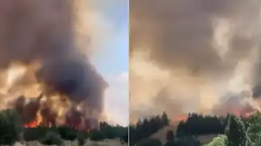 Ankara'da Otluk Alanda Çıkan Yangın Söndürüldü