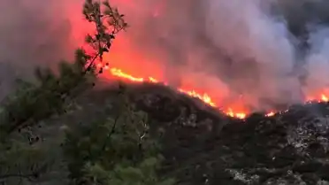 Antalya Kaş'taki Orman Yangınına Müdahale Karadan Devam Ediyor