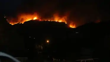 Aydın'ın Çine ilçesindeki orman yangını: Hayvanlar tahliye edildi