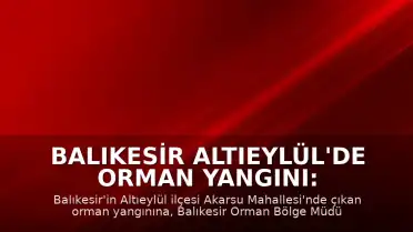 Balıkesir Altıeylül'de Orman Yangını: Ekiplerin Müdahalesi Sürüyor