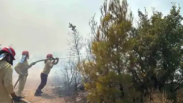 Balıkesir Gömeç'te Orman Yangınına Havadan ve Karadan Müdahale Ediliyor