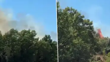 Bursa Kestel'de Orman Yangını: Müdahale Devam Ediyor