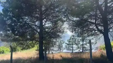 Çatalca'da Otluk Alanda Başlayan Yangın Ağaçlık Bölgeye Sıçradı