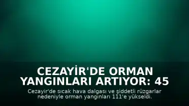 Cezayir'de Orman Yangınları Artıyor: 45 Vilayette Sivil Savunma Ekipleri Göreve Çağrıldı