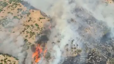 Denizli Pamukkale'de Orman Yangını Çıktı