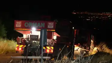 Denizli Pamukkale'de Orman Yangını: Rüzgarın Etkisiyle Alevler Yeniden Yükseldi
