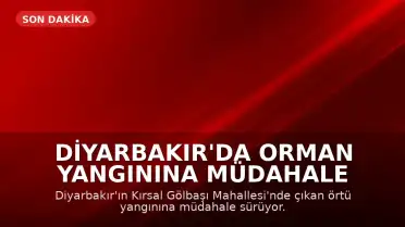 Diyarbakır'da Orman Yangınına Müdahale Devam Ediyor