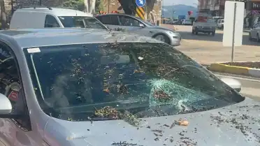 Eğirdir'de Şiddetli Rüzgar Ağacı Sökerek Otomobilin Üzerine Devirdi