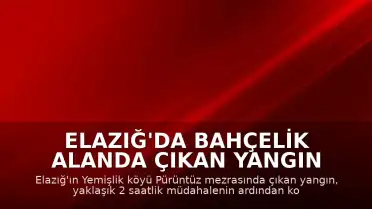 Elazığ'da Bahçelik Alanda Çıkan Yangın Kontrol Altına Alındı