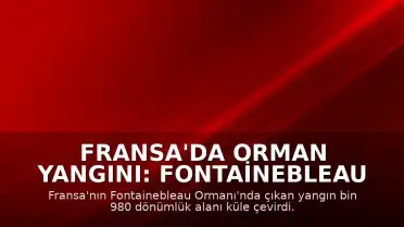 Fransa'da Orman Yangını: Fontainebleau Ormanı'nda Bin 980 Dönüm Alan Kül Oldu