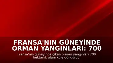 Fransa'nın güneyinde orman yangınları: 700 hektarlık alan küle döndü