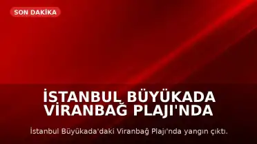 İstanbul Büyükada Viranbağ Plajı'nda Yangın Çıktı