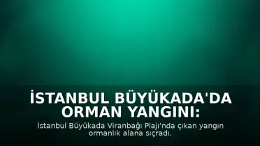 İstanbul Büyükada'da Orman Yangını: Söndürme Çalışmaları Devam Ediyor