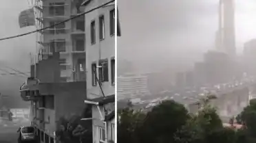 İstanbul'da Şiddetli Fırtına: Ağaçlar Devrildi, Çatılar Uçtu