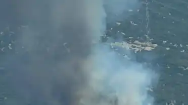 İzmir Bornova'da Orman Yangını: Ekipler Havadan ve Karadan Müdahale Ediyor