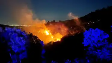 İzmir Ödemiş'te Ormanlık Alanda Yangın Çıktı