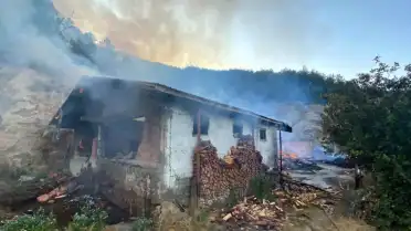 Kastamonu'da Ev Yangını Ormanlık Alana Yayıldı