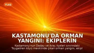 Kastamonu'da Orman Yangını: Ekiplerin Müdahalesiyle Kontrol Altına Alındı