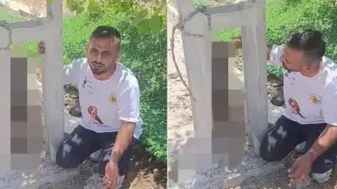 Kırıkhan'da Köpek Zehirlenerek Elektrik Direğine Asıldı