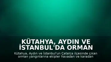 Kütahya, Aydın ve İstanbul'da Orman Yangınları Meydana Geldi