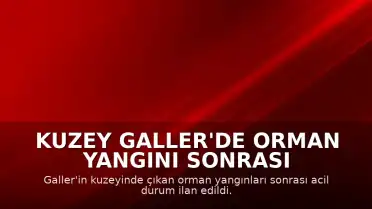 Kuzey Galler'de Orman Yangını Sonrası Acil Durum İlan Edildi