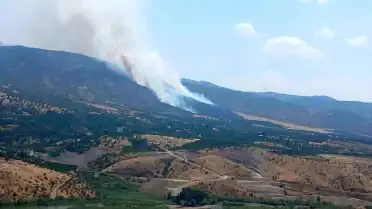 Malatya Pütürge'de Orman Yangını Çıktı
