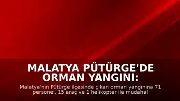 Malatya Pütürge'de Orman Yangını: Ekiplerin Müdahalesi Sürüyor