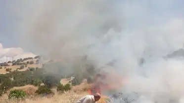 Mardin Ömerli'de Ormanlık Alanda Yangın Çıktı