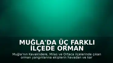 Muğla'da Üç Farklı İlçede Orman Yangınları: Müdahale Devam Ediyor