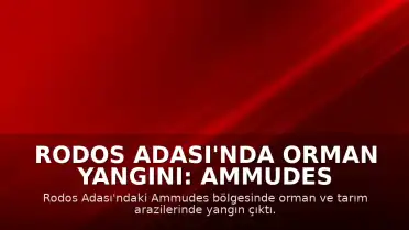 Rodos Adası'nda Orman Yangını: Ammudes Bölgesinde Alevler Yükseldi