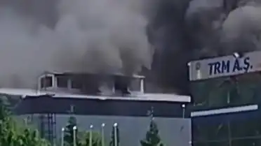 Sakarya Hendek'te Geri Dönüşüm Fabrikasında Yangın Meydana Geldi