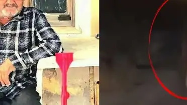 Seferihisar'da Balkonda Uyuyan Vatandaşa Ayı Saldırısı: 1 Ölü