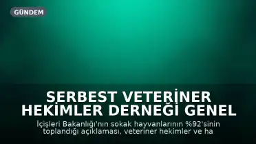 Serbest Veteriner Hekimler Derneği Genel Başkanı Bilsay Kanat: "Bize kaç hayvan toplandığını değil, kaçının yaşatıldığını söyleyin"