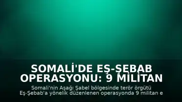 Somali'de Eş-Şebab Operasyonu: 9 Militan Etkisiz Hale Getirildi