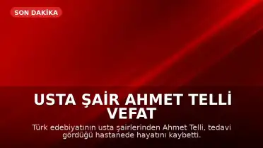 Usta Şair Ahmet Telli Vefat Etti
