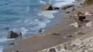 Zonguldak Filyos Sahili'nde Askeri İHA Bulundu: Geniş Güvenlik Önlemi Alındı
