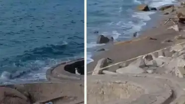 Zonguldak Filyos Sahili'nde Askeri Olduğu Değerlendirilen İHA Bulundu