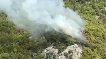 Antalya'nın Kemer ilçesinde orman yangını: Ekipler müdahale ediyor