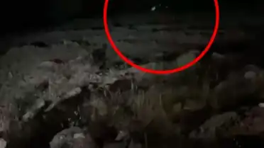Bingöl'de Trafik Kazası: 4 Kişi Hayatını Kaybetti, 5 Kişi Yaralandı