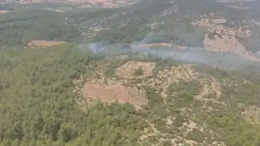 Muğla'nın Menteşe ilçesinde orman yangını kontrol altına alındı