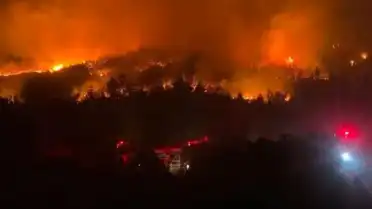 Antalya Serik'te Orman Yangını: Ekipler Havadan ve Karadan Müdahale Ediyor